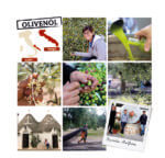 17368_Product